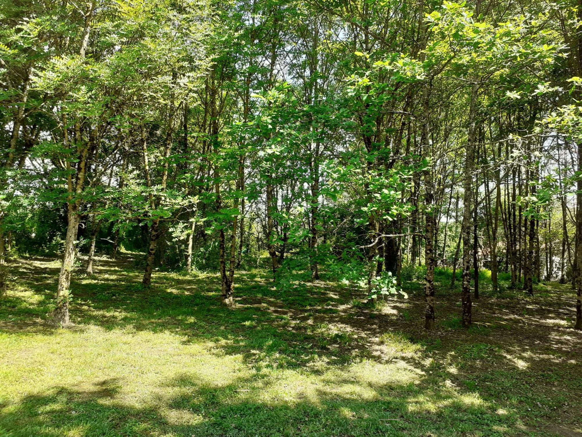 La Villa Le Petit Bois, Pres Rocamadour, Padirac Lavergne  Exterior foto